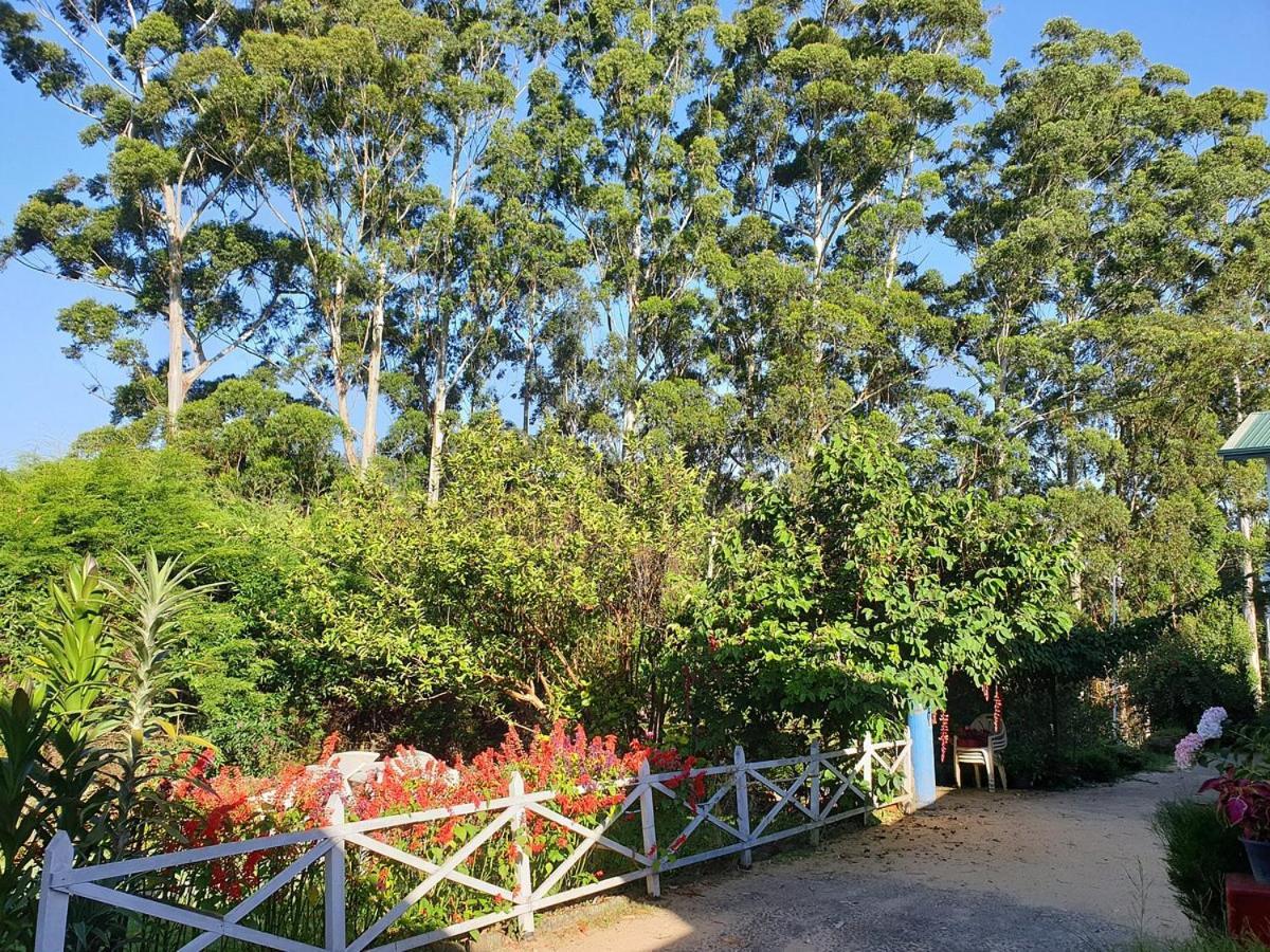 Panorama Green View Hotel Nuwara Eliya Bagian luar foto